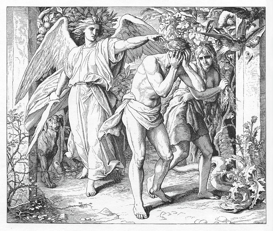 A Fall And A&nbsp;Promise